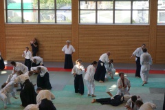 LRG_DSC04266
