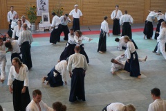 LRG_DSC04268