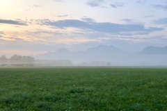 Bernau.2019.5